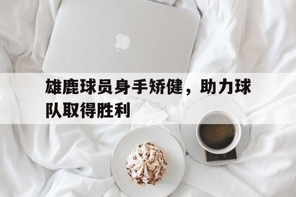 关于雄鹿球员身手矫健，助力球队取得胜利的信息