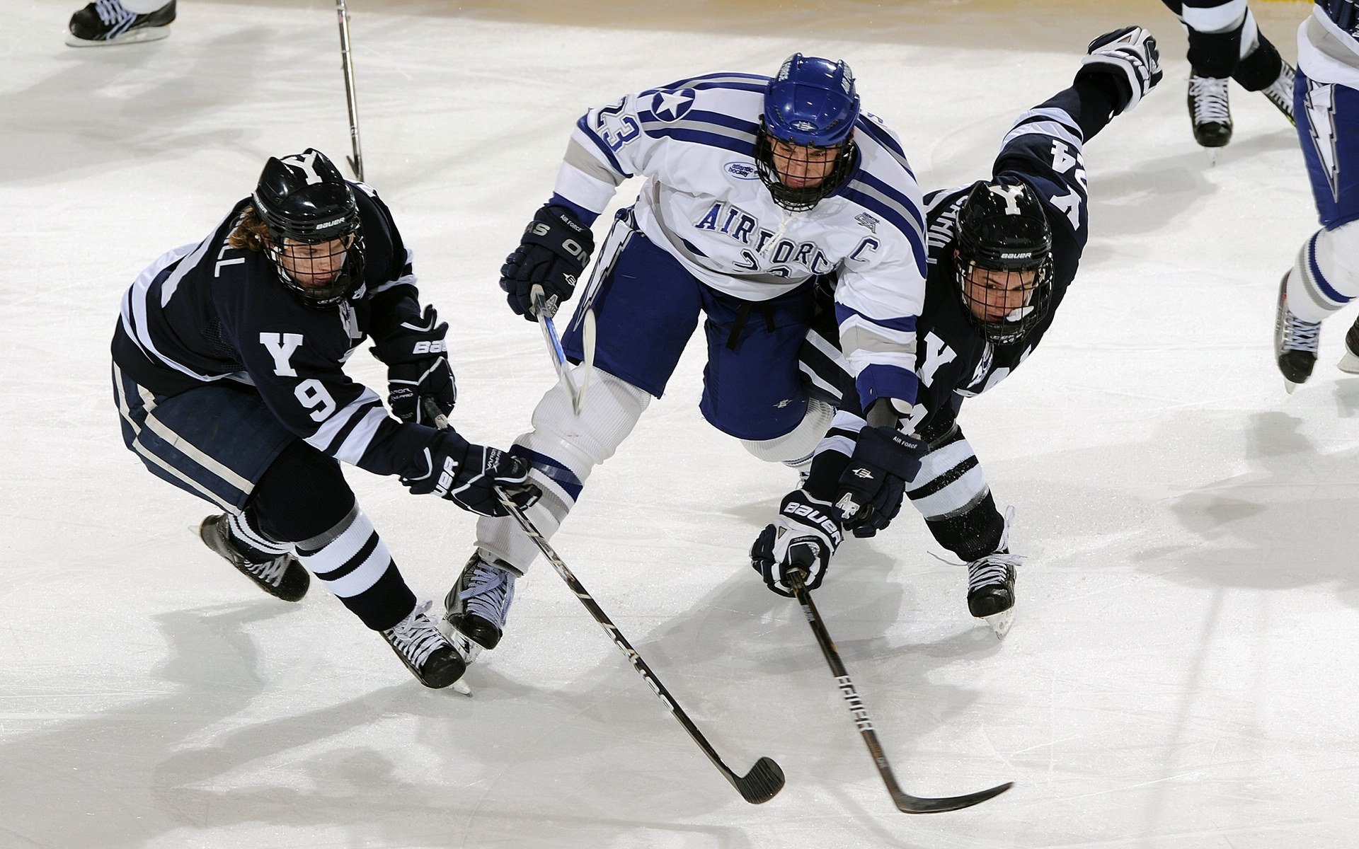 数据爆炸与铁血突围，恩比德的统治与勇士的坚韧
